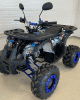 ATV Predator 125 cc kids quad more colors!