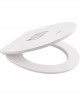 Toilet seat, Moin