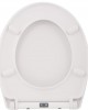 Toilet seat, Moin